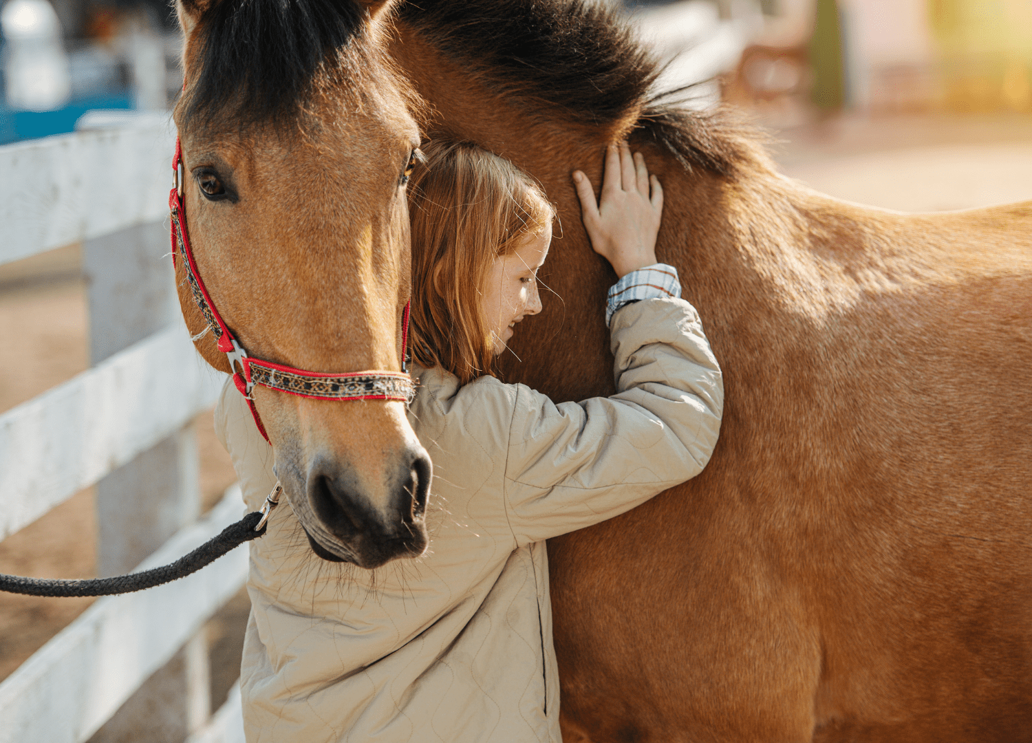 girl hugging a horse